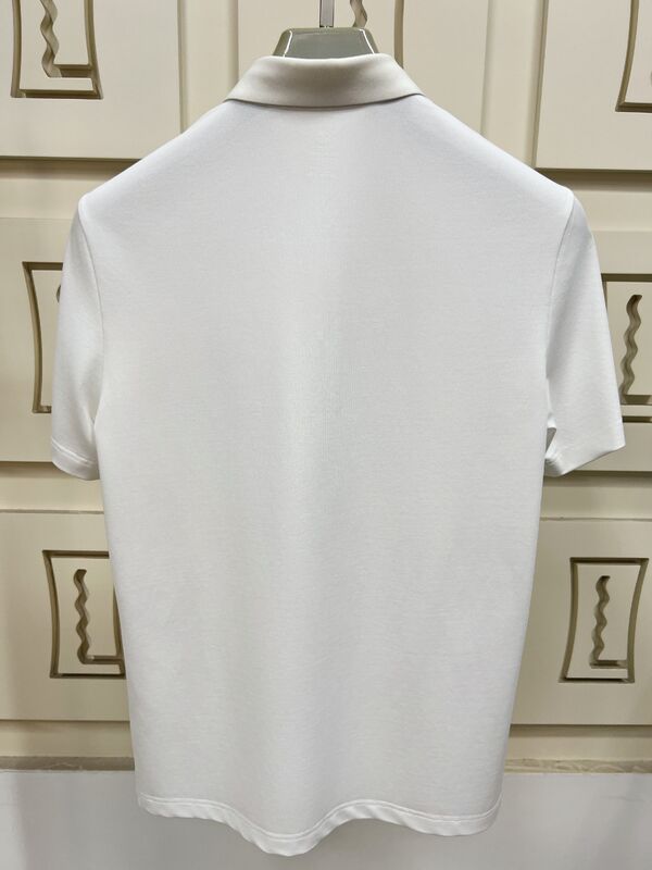 پیراهن های پولو مردانه برتر. طراحی کمال گرایانه، آستین کوتاه، پارچه نرم برای تمام فصل ها تولید تی شرت مردانه.